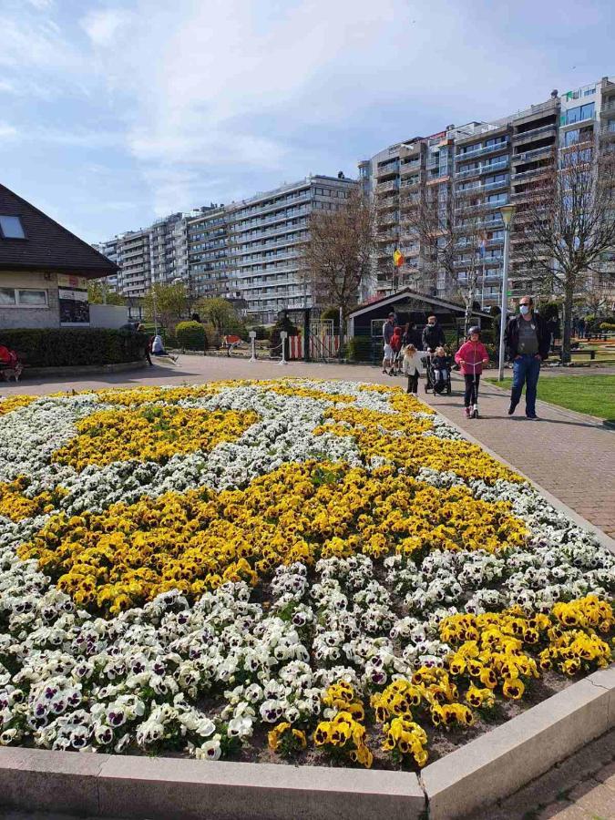 Sun And Fun Daire Blankenberge Dış mekan fotoğraf